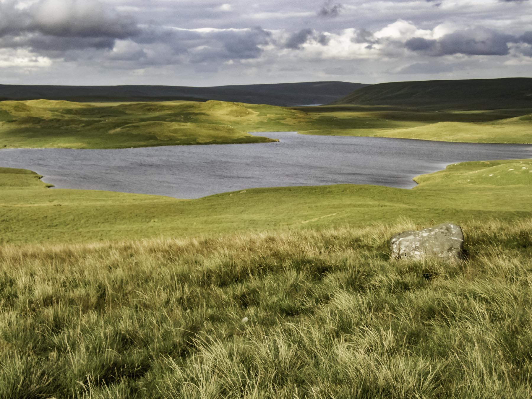 llyn gynon