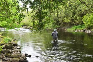 Do fishing glasses really work? : r/FishingForBeginners