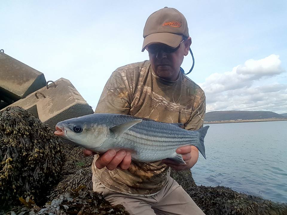 The kit you need to catch estuary mullet - SeaAngler