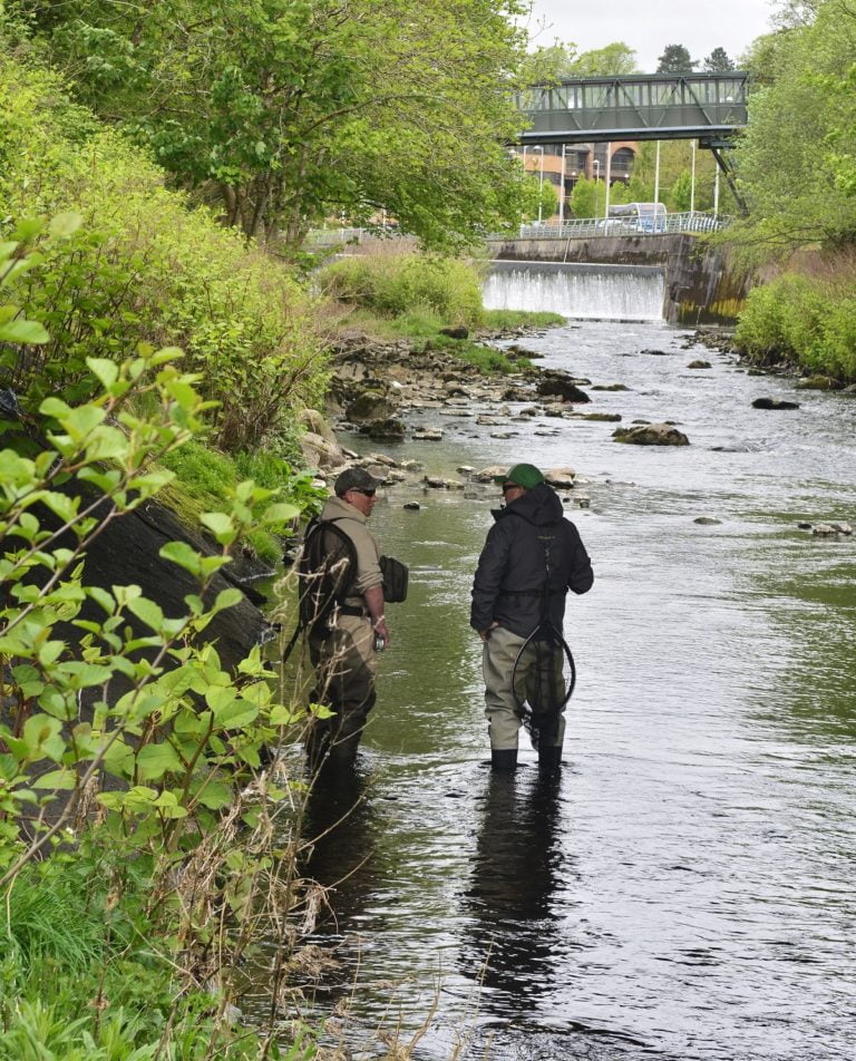 River fishing in Wales for wild trout – a fly fishers paradise
