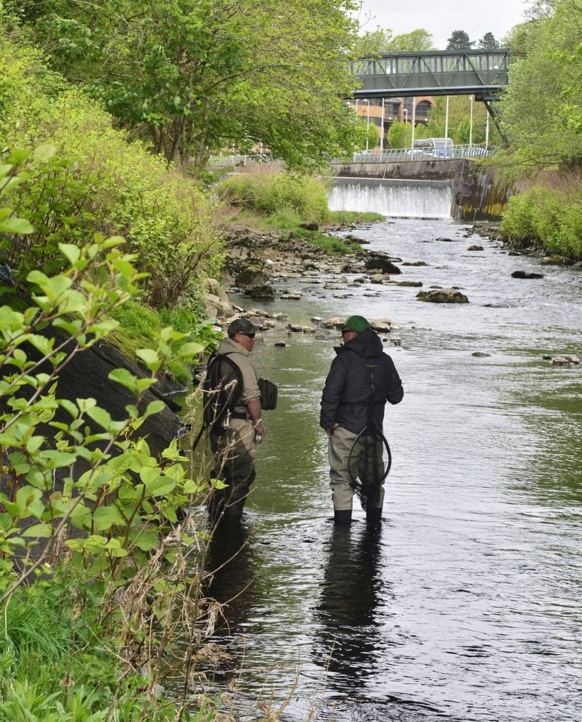 trout fishing on the Taff