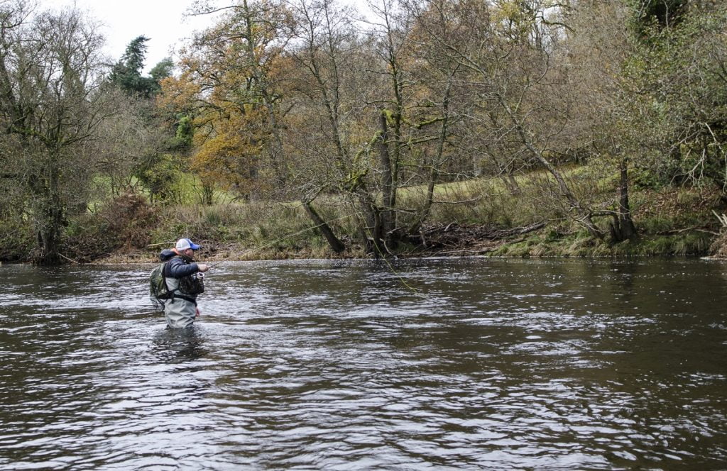 Grayling fishing in Wales