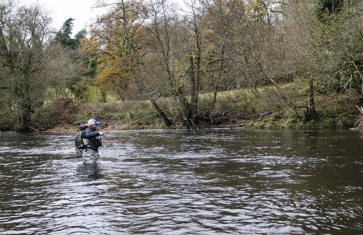 Grayling fishing in Wales
