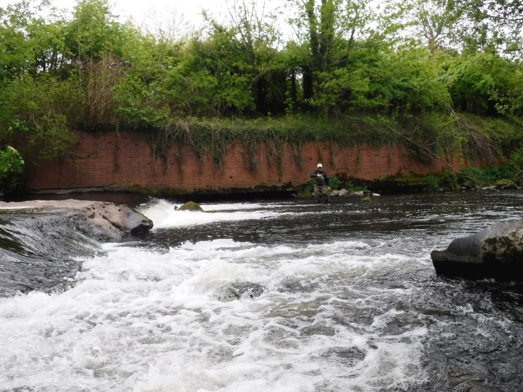 River fishing in Wales for trout