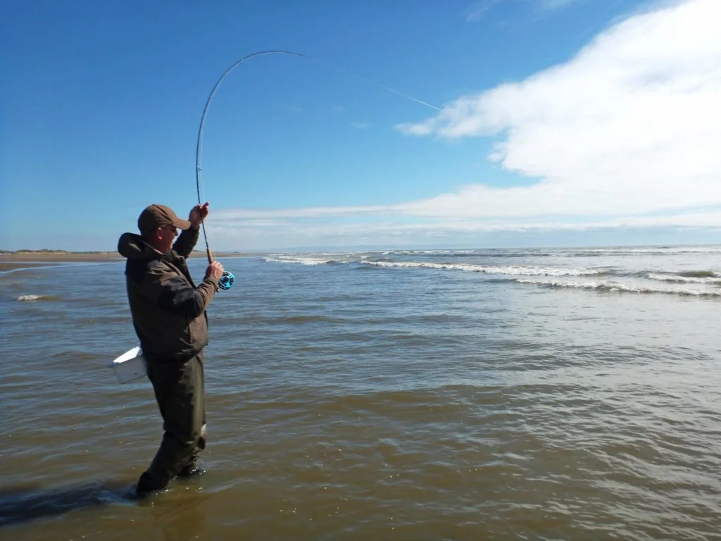 Cast net for fishing from the beach for mullet and permit