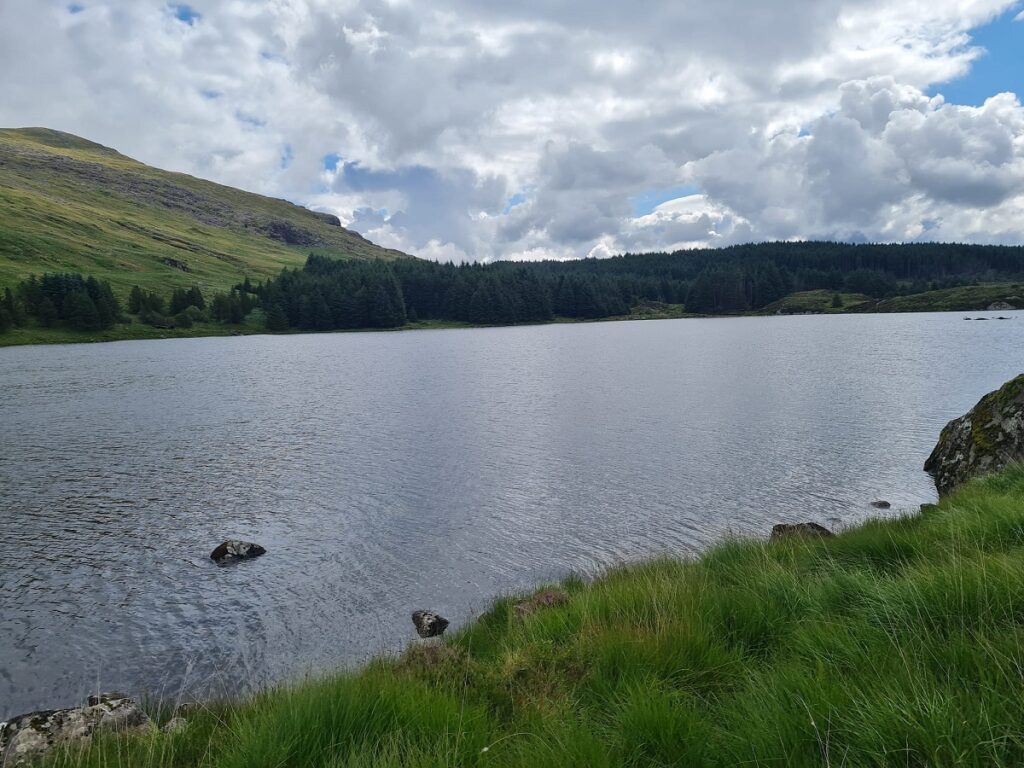 Llyn Diwaunedd