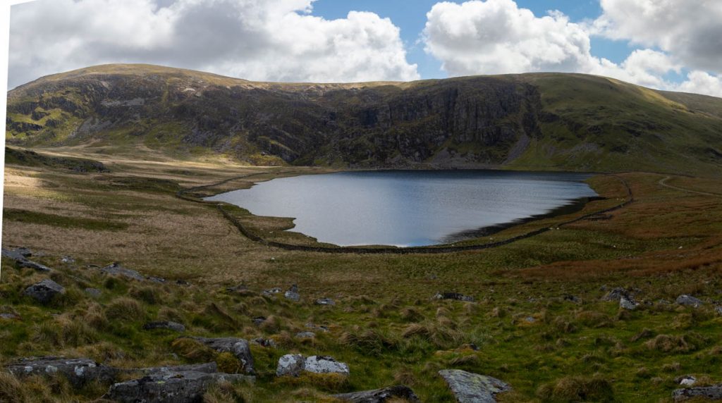 llyn bodlyn fishing