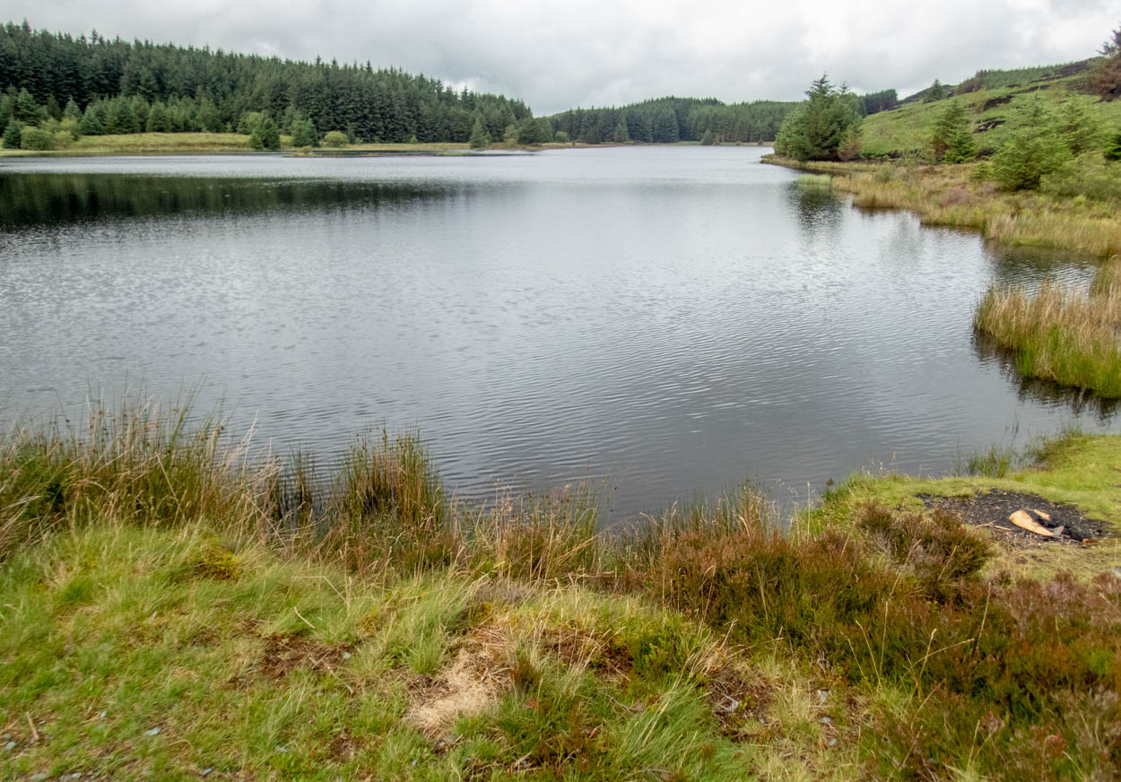 llyn conach fly fishing Wales