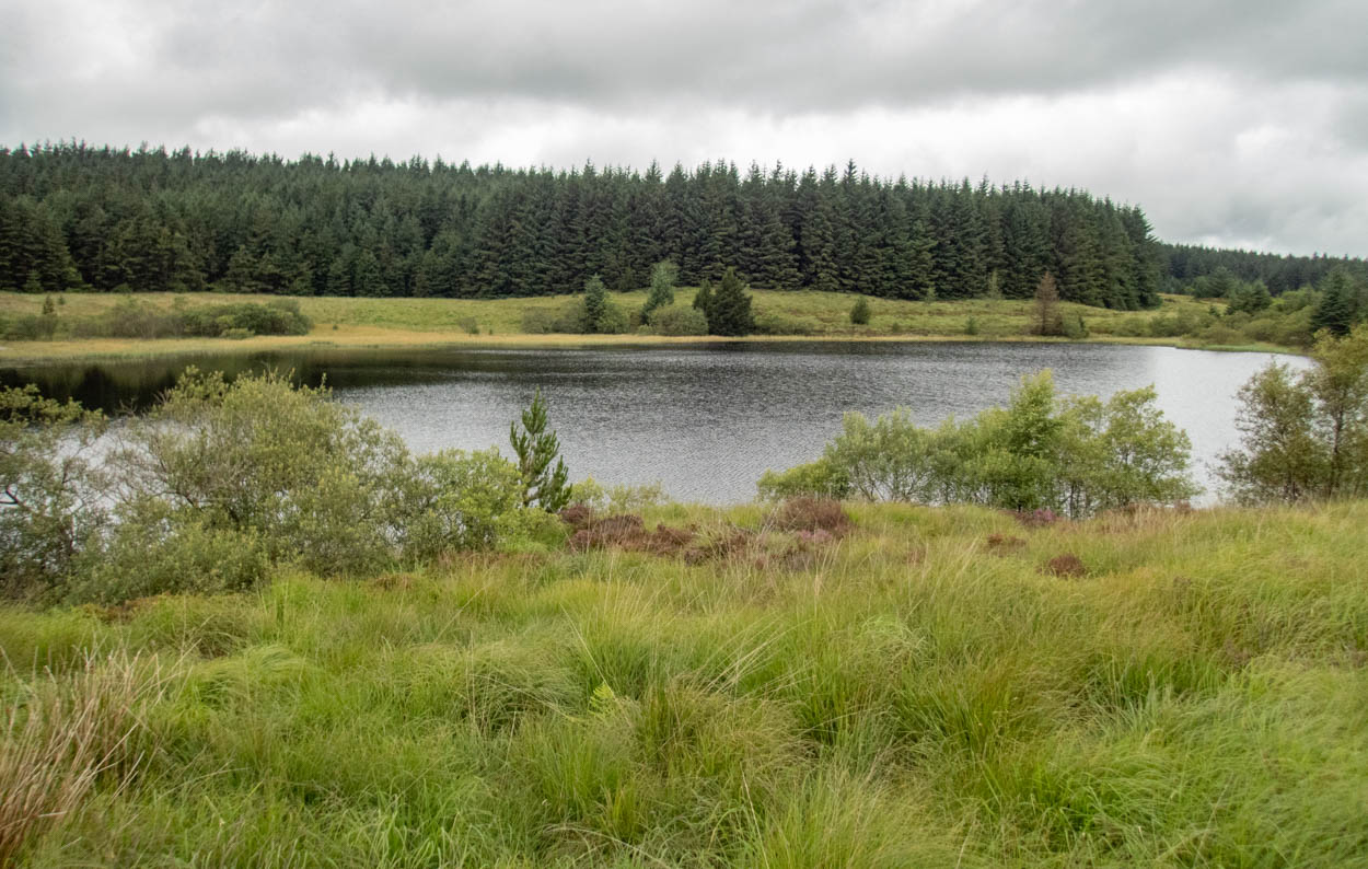llyn conach fly fishing