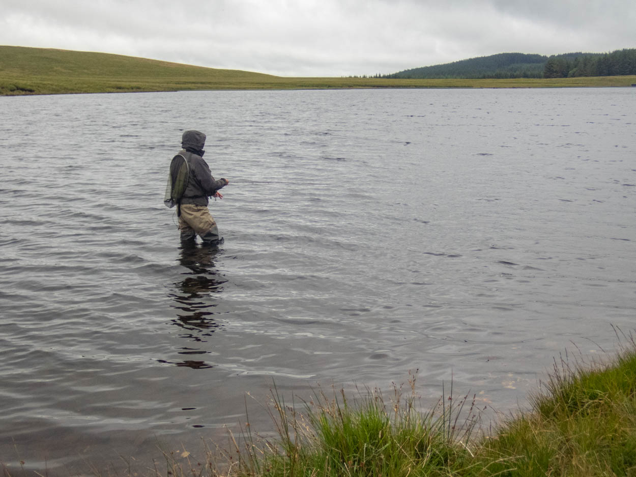 llyn penrhayadyr fly fishing