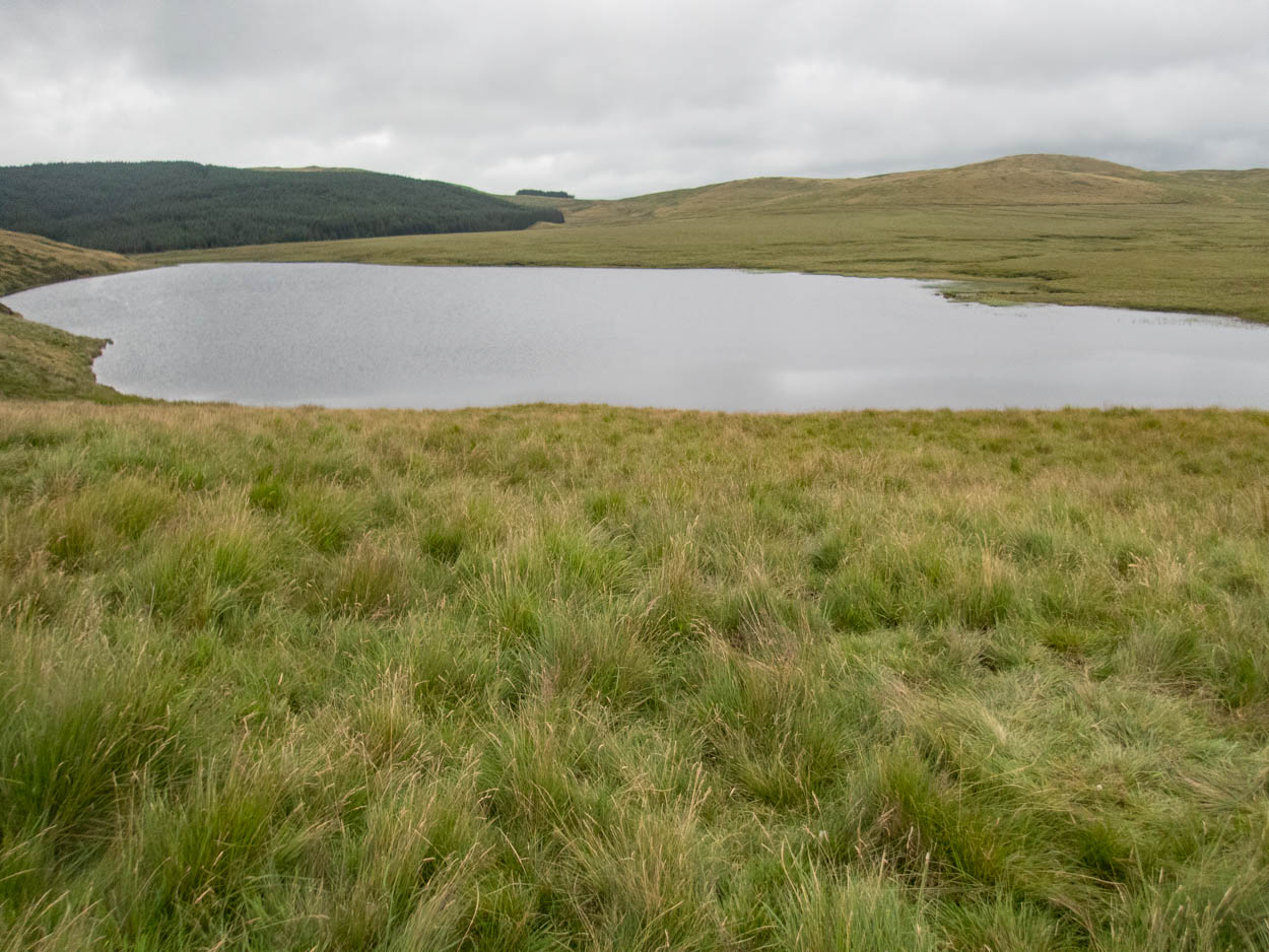 Llyn Penrhaedr fishing