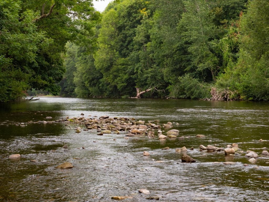 gwent angling river usk