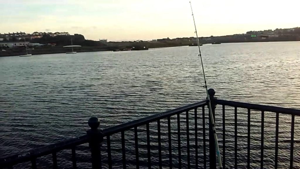 Barry dock fishing