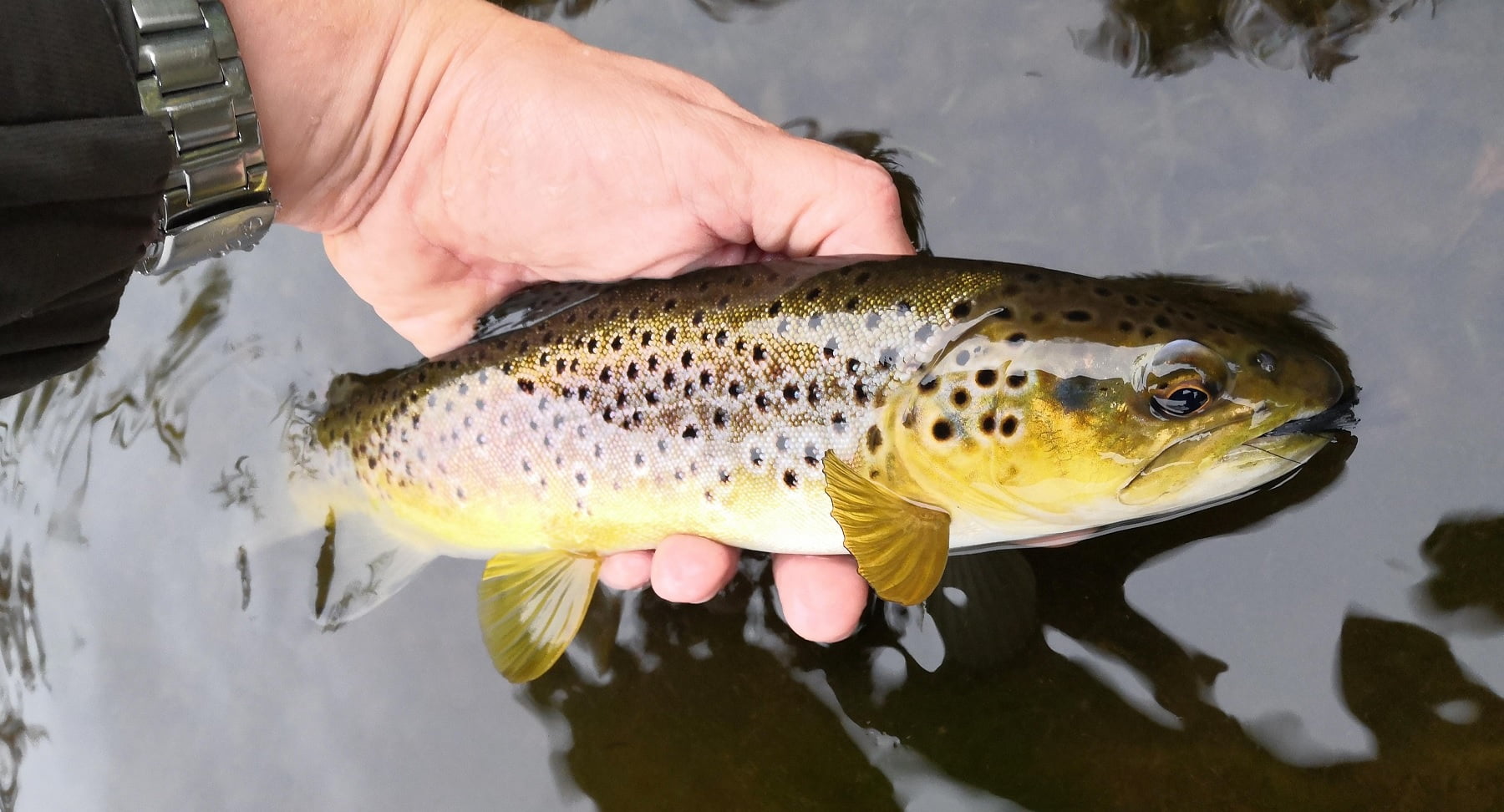 Beacons Reservoir - Fishing in Wales