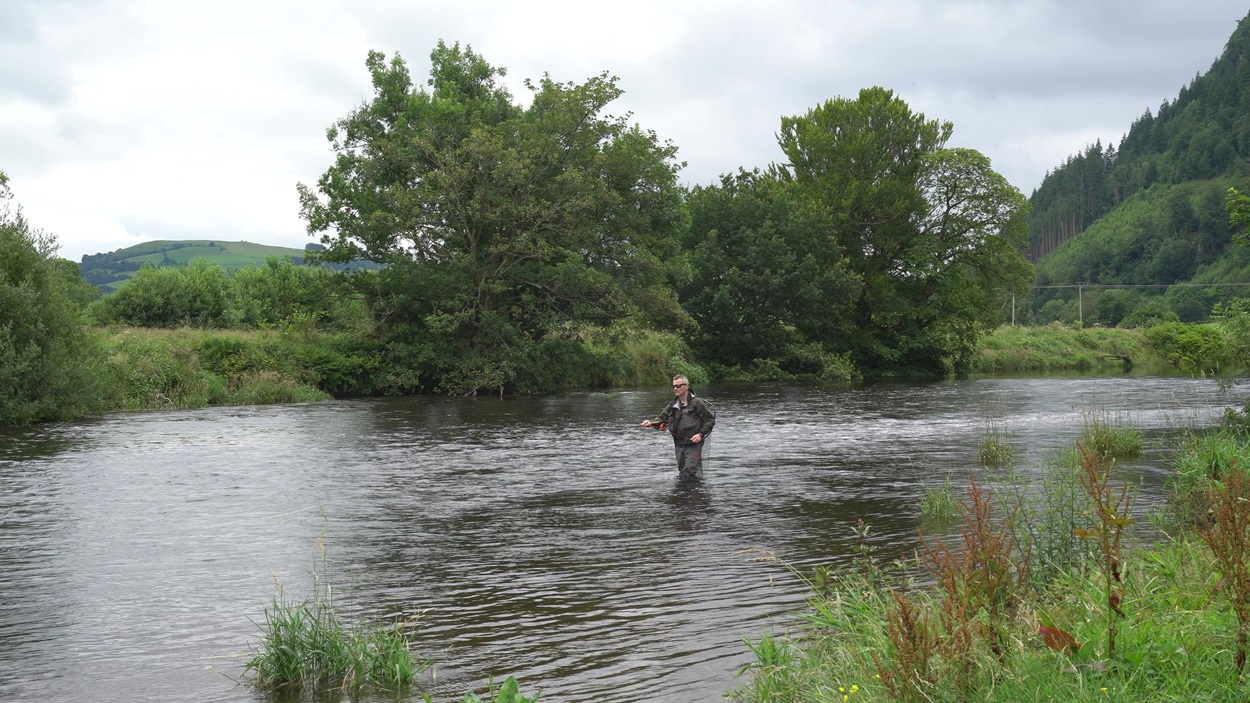 salmon fishing river conwy