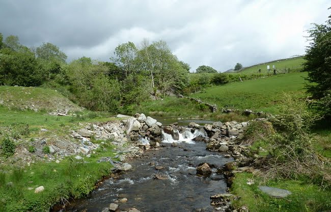 Cambrian Angling Association river fishing