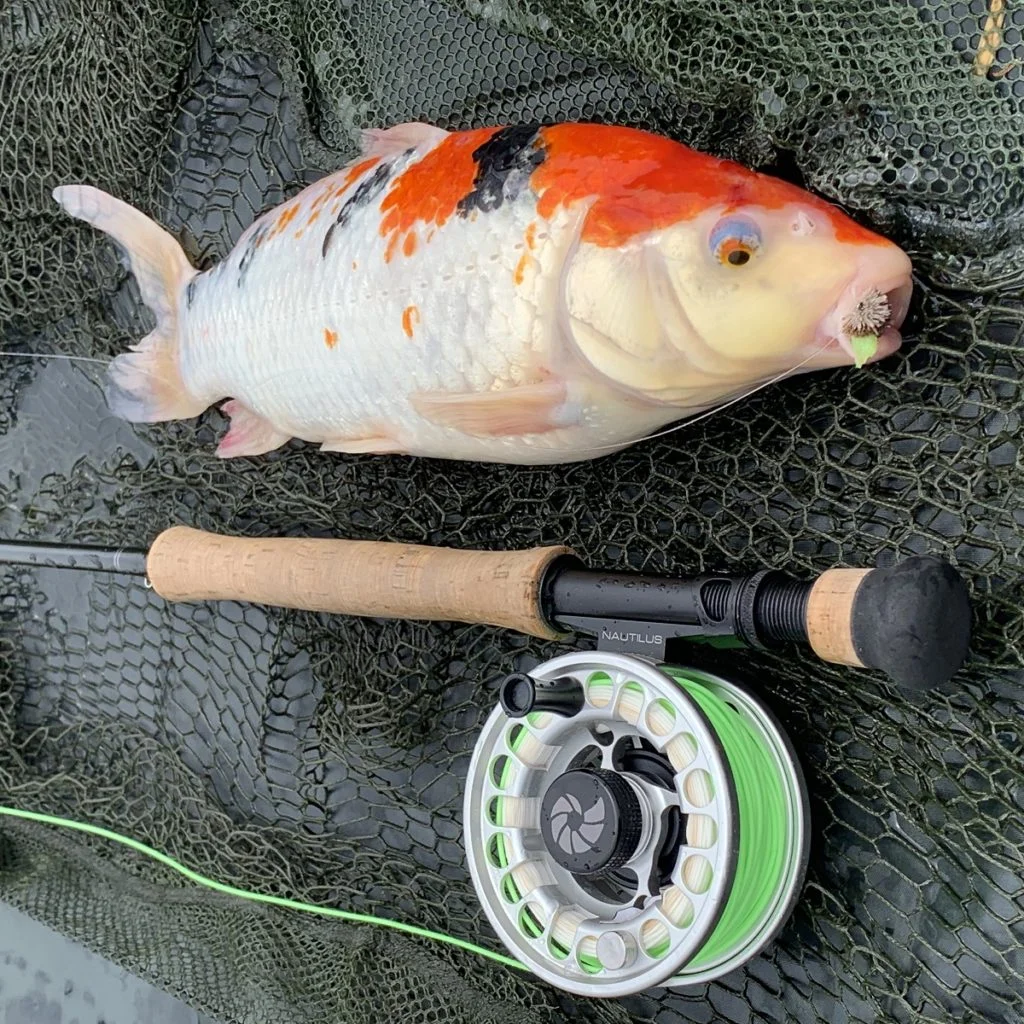 berkley lightning rod vs ugly stik gx2 Spinning Black Friday Lamson Centerfire 8 Saltwater Size:20/0#   15pcs secure contact between the