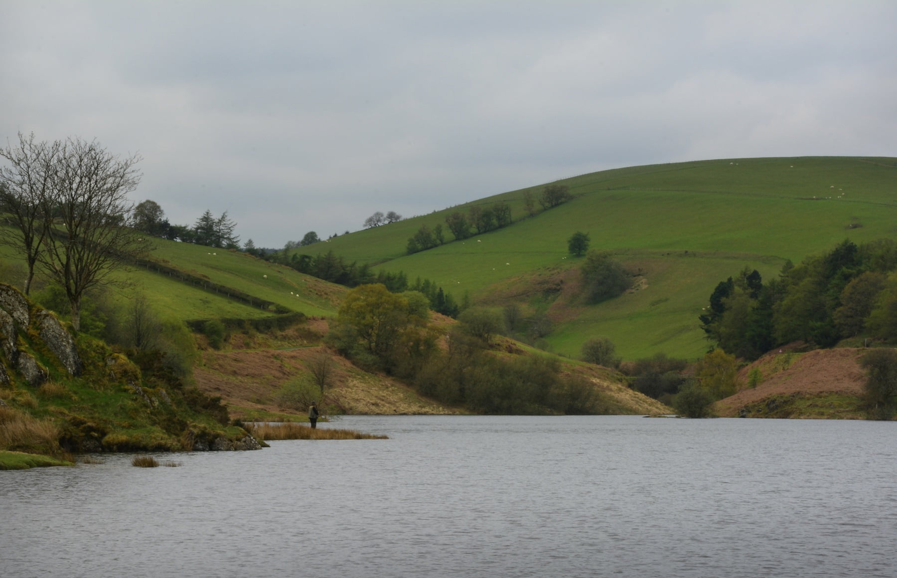 Clywedog trout lake