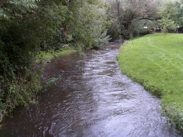 Cowbridge & District Angling Club - Thaw, Kenson and Ely - Fishing in Wales