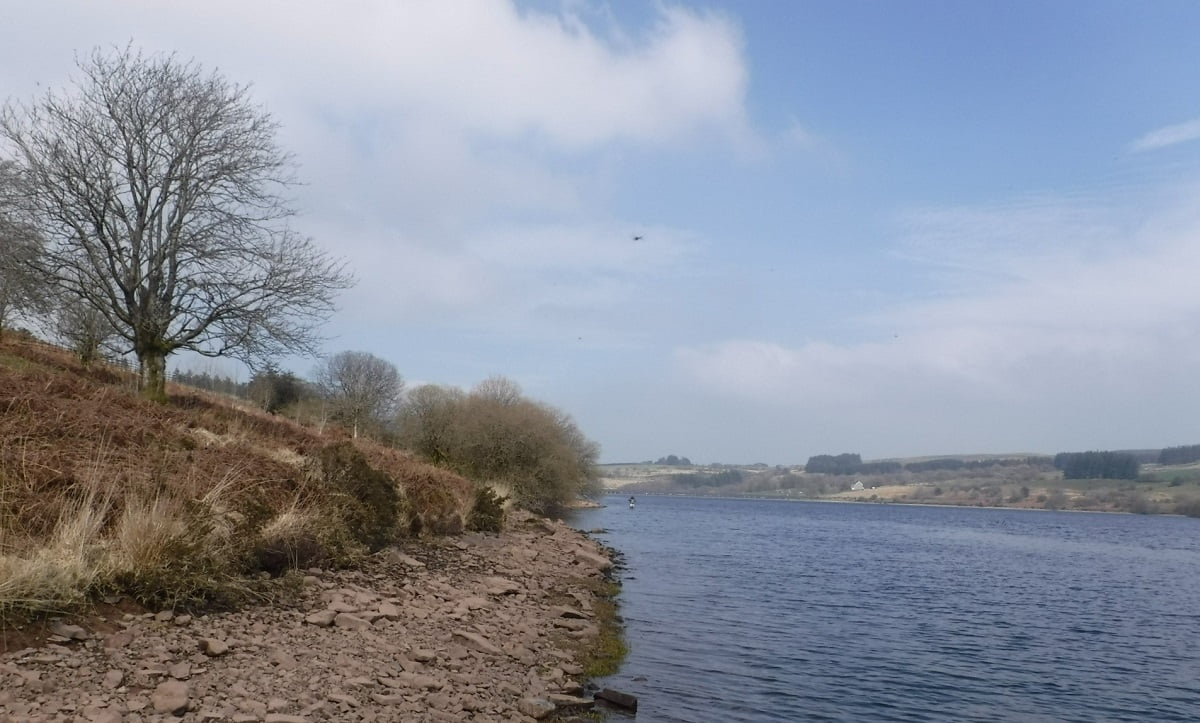 cray reservoir fishing