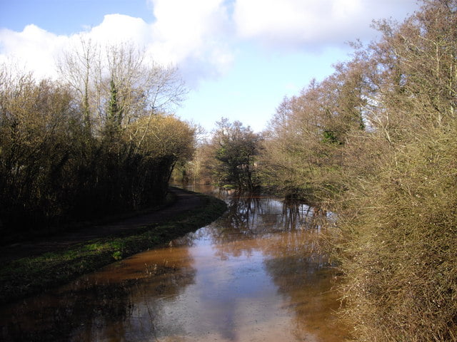 Cwmbran Angling Association Llantarnam Ponds - Fishing in 