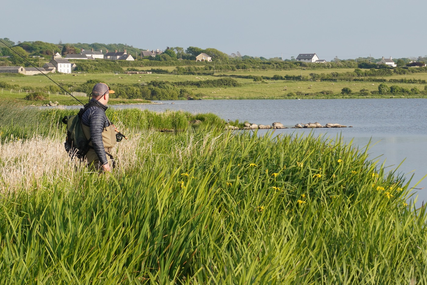 llyn coron sea trout fishing