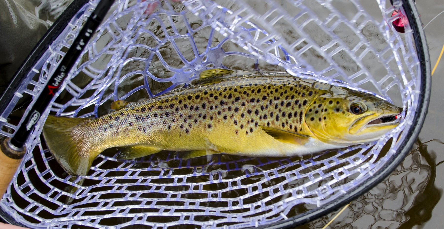 Talybont reservoir trout fishing