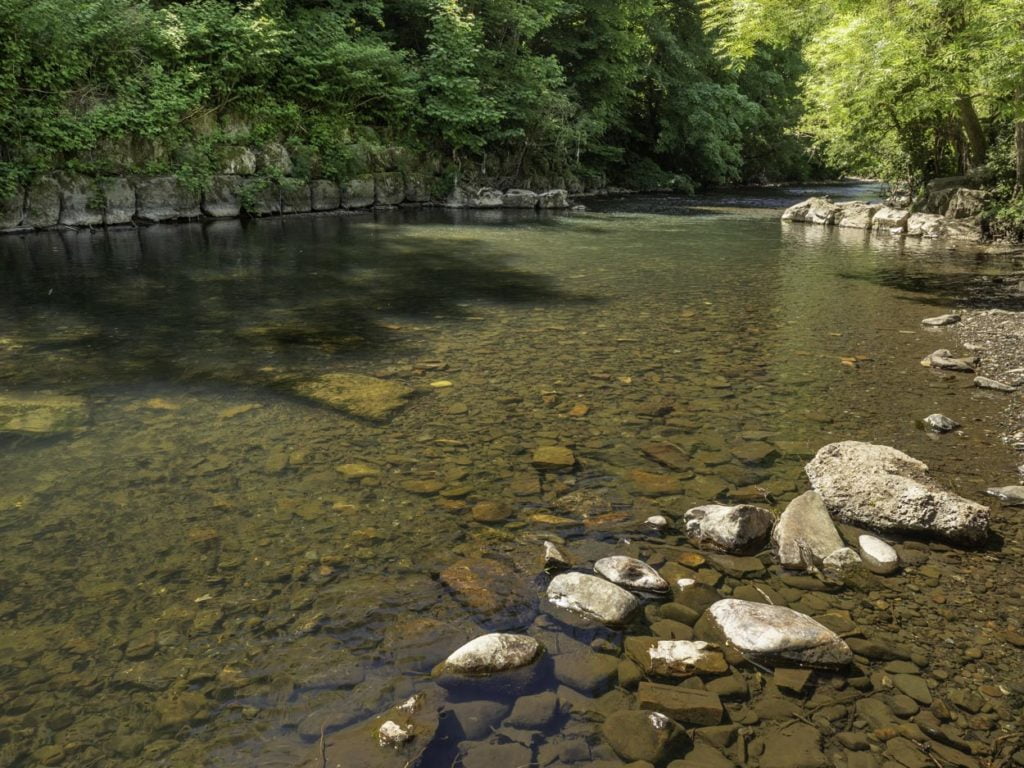 river ebbw fishing