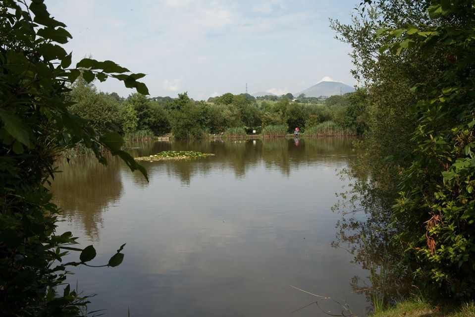 Eisteddfa fishery