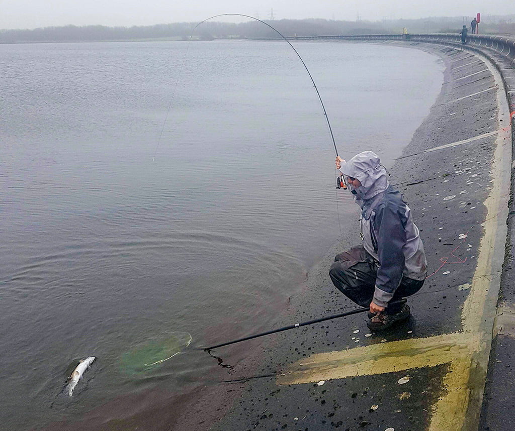 Mewn i bysgodyn ar gronfa ddŵr yr Eglwys