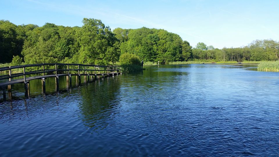 Garnffrwd fly fishing lake