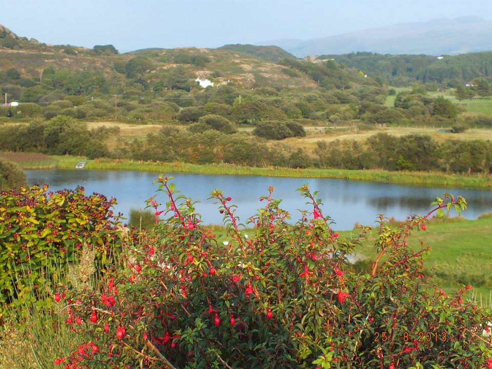 Glan morfa mawr fishing lake