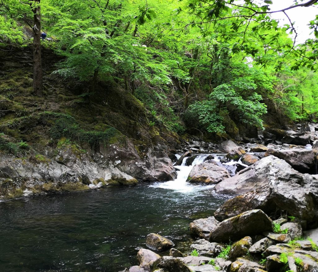 Glaslyn Angling river glaslyn fishing