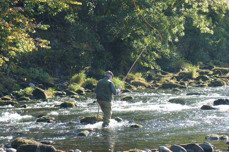 Gliffaes Hotel - River Usk - Fishing in Wales