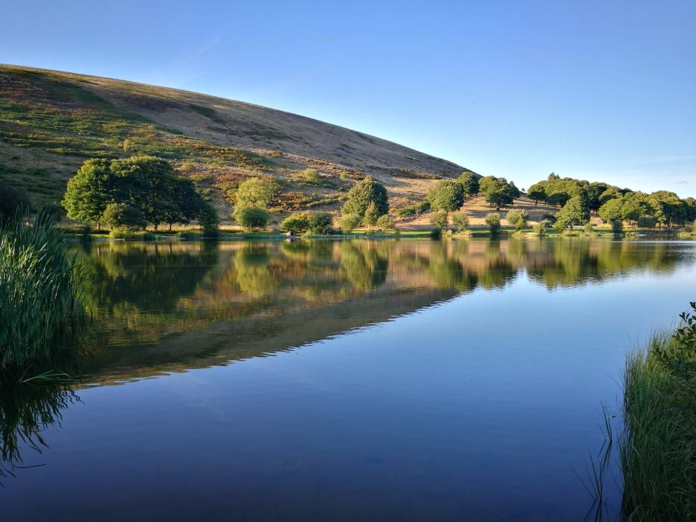 Gweryd Lakes fishery