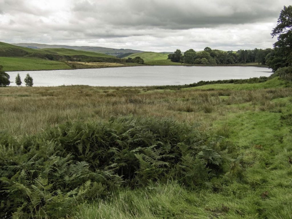 Llyn Glandwgan fishing