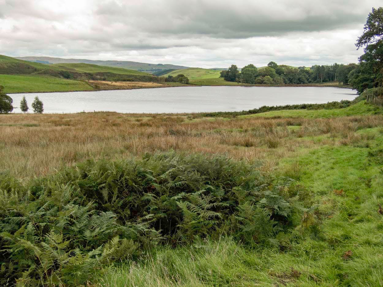 Llyn Glandwgan fishing