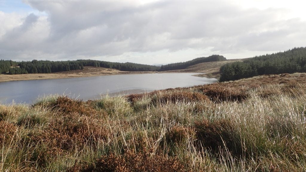 Llyn Gwyddior