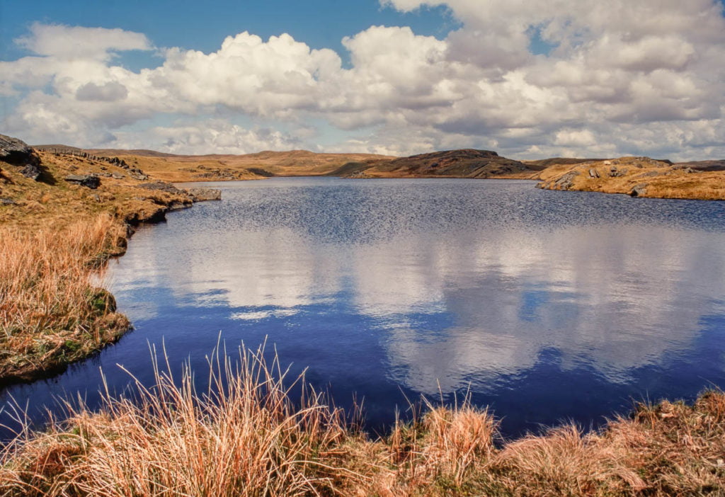 llyn hir teifi pools