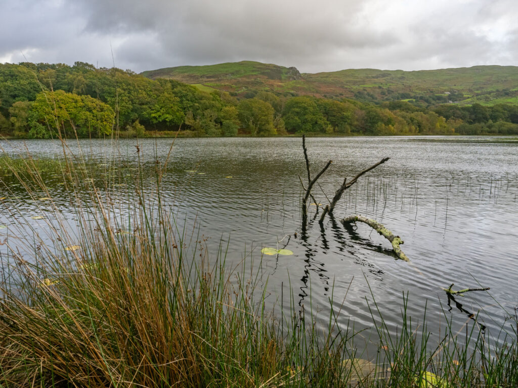 Llyn Tecwyn isaf