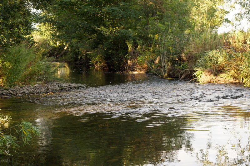 River Alyn North Wales