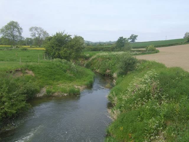 Montgomeryshire Angling Association: River Vyrnwy