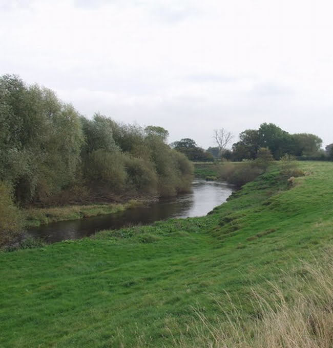 Montgomeryshire Angling Association: River Vyrnwy - Fishing in Wales