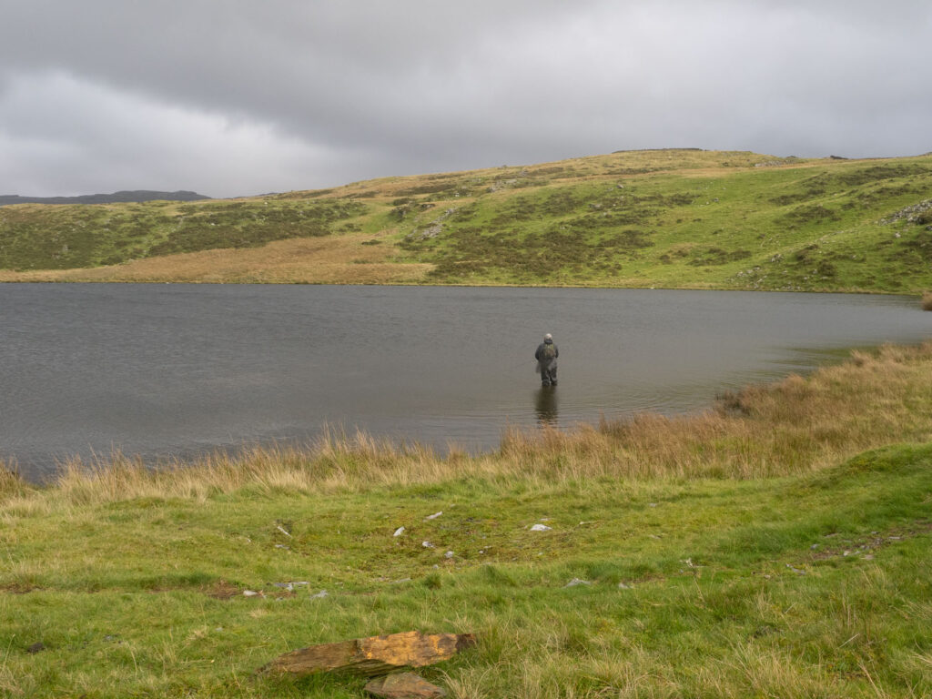 llyn y fedw