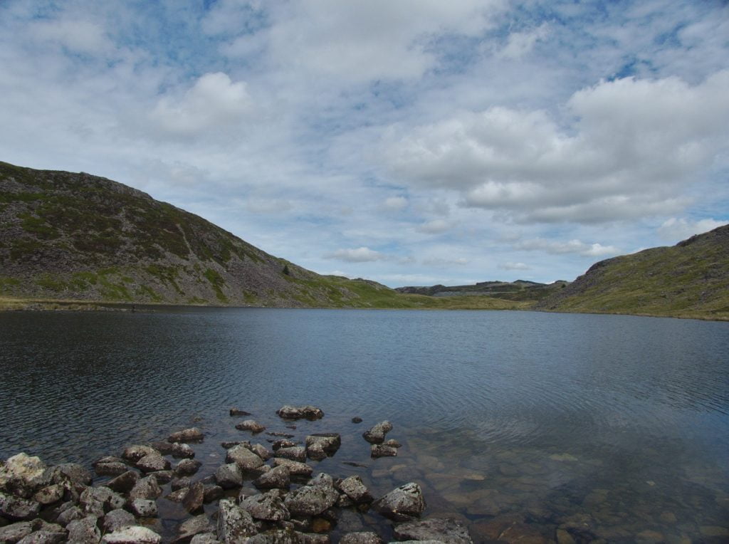 llyn manod fishing