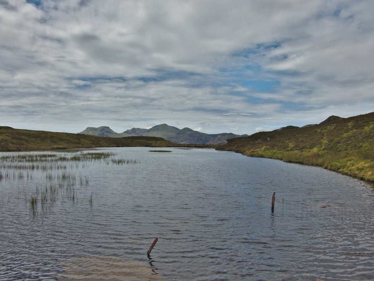 llyn dubach bach trout fishing