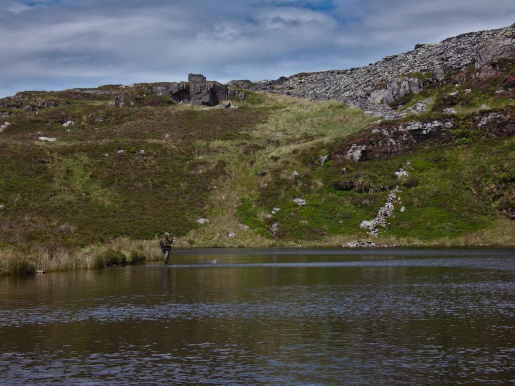 llyn dubach fishing