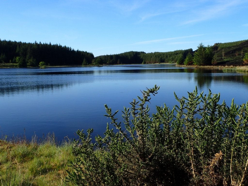 llyn conach