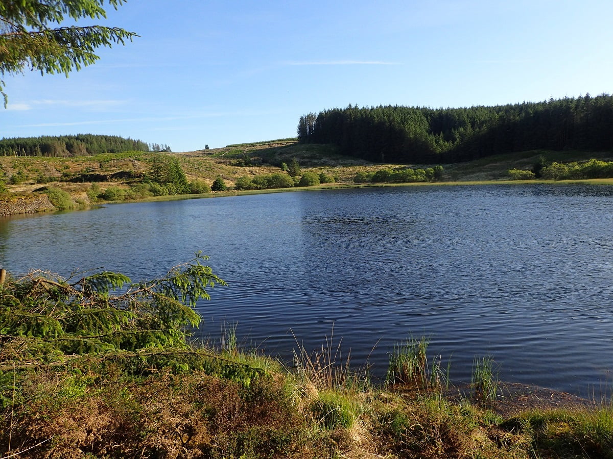 llyn dw