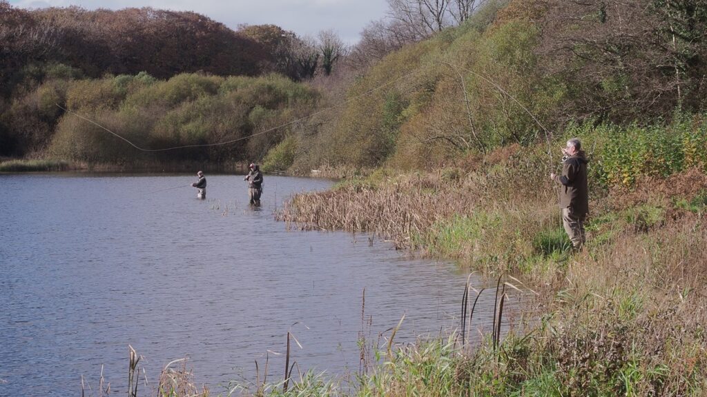 swiss valley fly fishing llanelli angling club